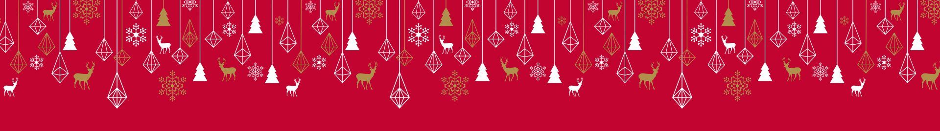 1920×269-Banner-Audi-Decorations