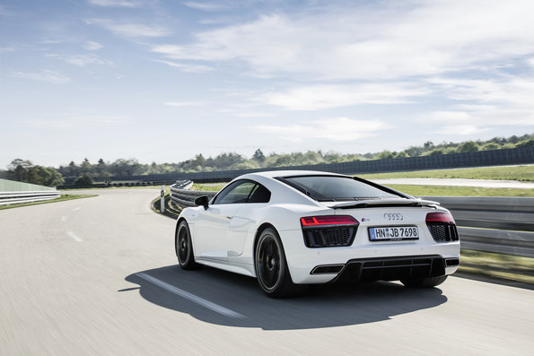 Dynamic photo Colour: Ibis White